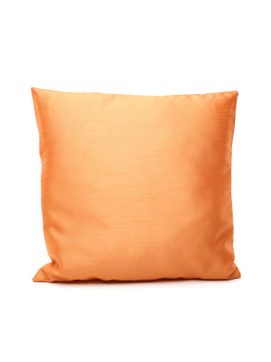 Titian Raw Silk Pillow
